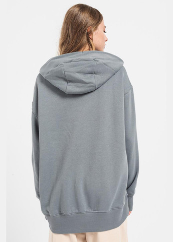 Худі FN7698-084 Nike W NSW FLC OS PO (319353045)