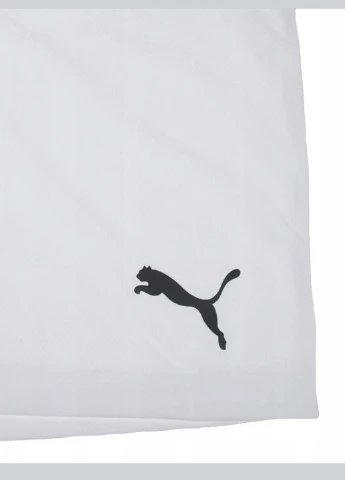 Шорты 704942-03 Puma teamRISE Short (327002701)