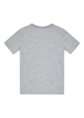 Сіра літня футболка Garnamama