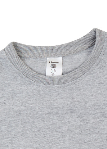 Сіра літня футболка Garnamama