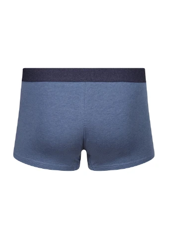 Трусы (3 шт.) Wrangler (304379988)