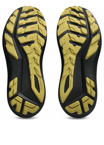 Черные демисезонные кроссовки Asics 1011C078-001