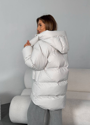 Світло-сірий зимній Пуховик No Brand