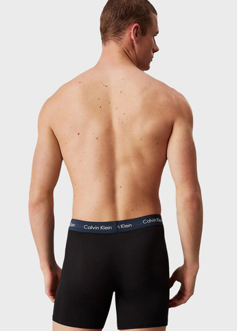 Трусы (5 шт.) Calvin Klein (344545929)