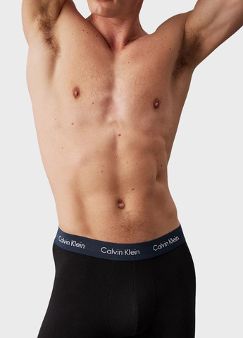 Трусы (5 шт.) Calvin Klein (344545929)