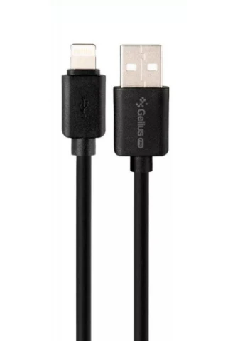Зарядное устройство Pro Avangard GP-HC06 2USB 2.4A + Cable iPhone X Black (00000075587) Gelius (216637867)