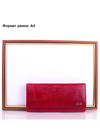 Женский кожаный кошелек 19х9,5х2,7 см Canpellini (195547625)