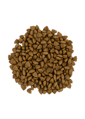Сухий корм для котів з чутливим травленням зі свіжим м’ясом ягняти та індички, 2 кг Savory (231268519)
