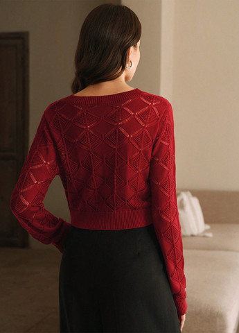 Бордовий демісезонний джемпер джемпер SHEIN