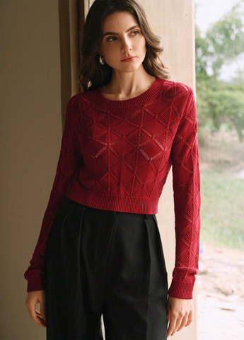 Бордовий демісезонний джемпер джемпер SHEIN