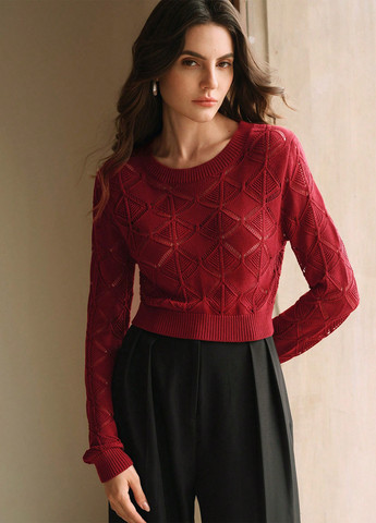 Бордовий демісезонний джемпер джемпер SHEIN