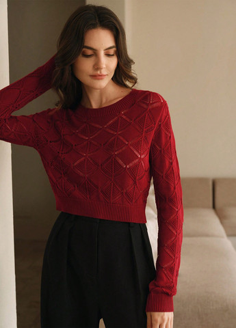 Бордовий демісезонний джемпер джемпер SHEIN