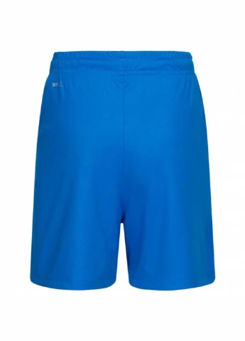Шорты 703437-02 Puma Liga Core Blue (342716369)