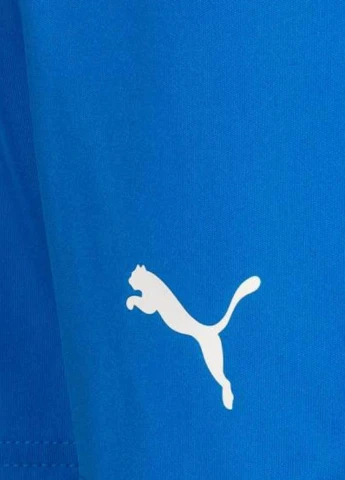 Шорты 703437-02 Puma Liga Core Blue (342716369)
