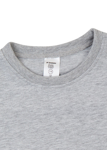 Серая демисезонная футболка Garnamama