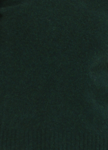 Темно-зеленый демисезонный джемпер джемпер Ralph Lauren