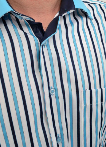 Голубой кэжуал рубашка в полоску Framzoni