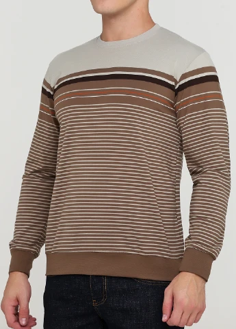Лонгслів Trendy смужка коричневий кежуали