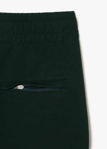 Брюки Lacoste (276526031)