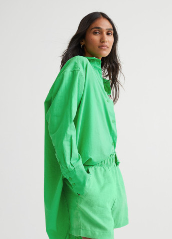 Льняные зеленые шорты H&M (254410555)