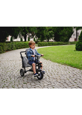 Велосипед дитячий TRIS STONE GREY Lionelo (228879146)