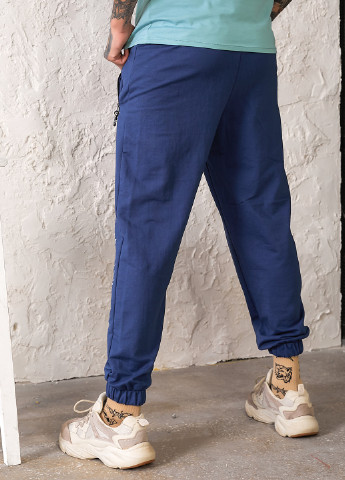 Синие демисезонные брюки Tailer