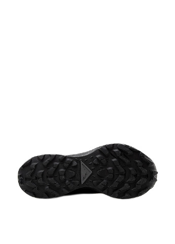 Черные демисезонные кроссовки Nike Nike Pegasus Trail 2 GORE-TEX