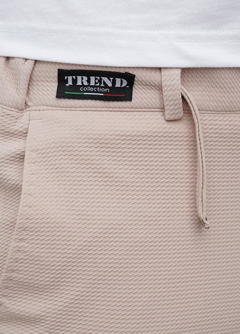 Бежевий демісезонний костюм (піджак, штани) брючний Trend Collection