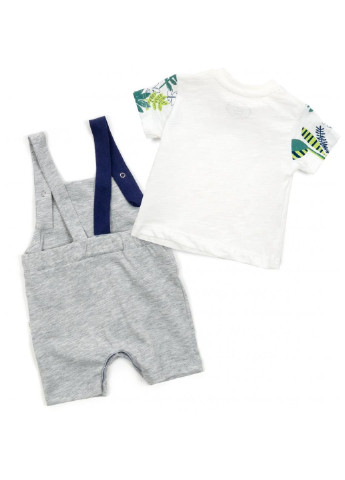 Сірий літній набір дитячого одягу з тигриком (2834-62b-gray) Tongs