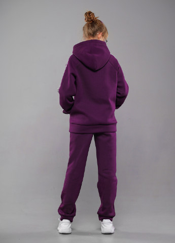 Фіолетовий демісезонний пурпурний спортивний костюм брючний Sinthia