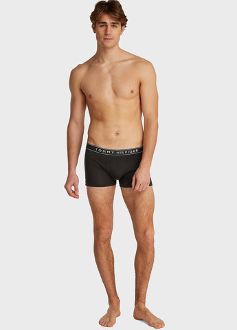 Труси (3 шт.) Tommy Hilfiger (343745175)
