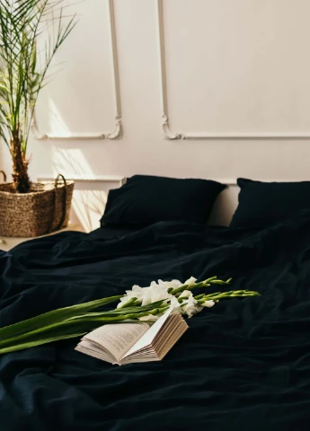 Комплект білизни із вареної бавовни Black (сімейний) Leglo (253876231)