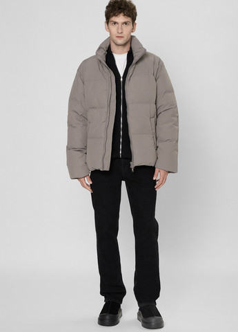 Сірий зимній Пуховик PRPY