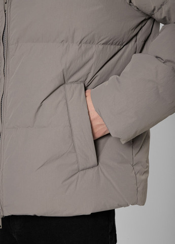 Сірий зимній Пуховик PRPY