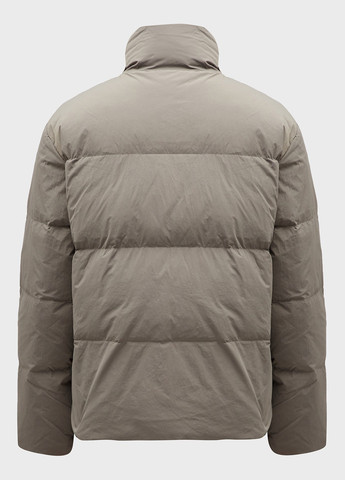 Сірий зимній Пуховик PRPY