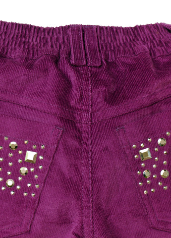 Фиолетовые кэжуал демисезонные со средней талией брюки Do-Re-Mi