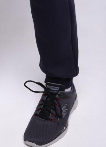 Темно-синие спортивные зимние джоггеры брюки Wise