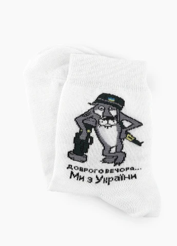 Носки No Brand (254522065)