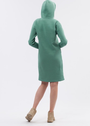 Фісташкова кежуал тепла сукня худі на флісі кольору фісташки 5712 сукня-худі Cat Orange однотонна