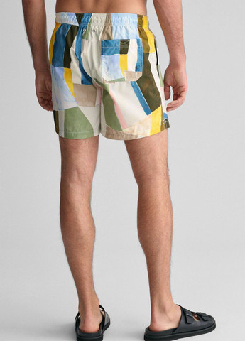 Шорти Gant (322564205)