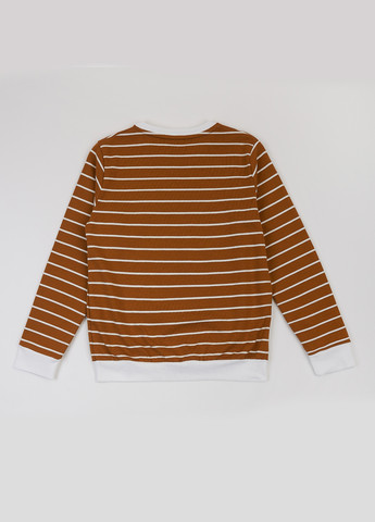 Светло-коричневый свитшот ArDoMi полоска без декора (343091818)