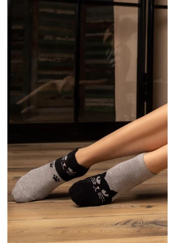 Серые носки женские хлопковые socks low 109 (3пары) Legs кошки (254993888)