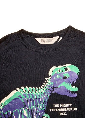 Темно-синий демисезонный кэжуал лонгслив H&M динозавр