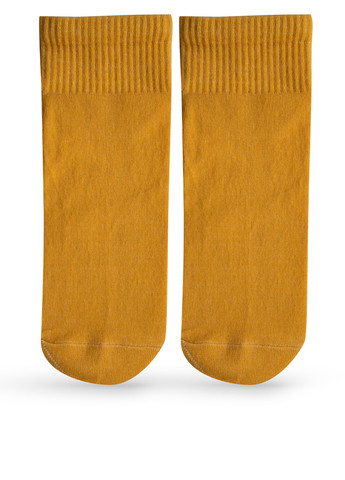 Шкарпетки Premier Socks (258013421)