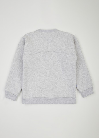 dexter's світшот меланж сірий кежуал бавовна, тринитка