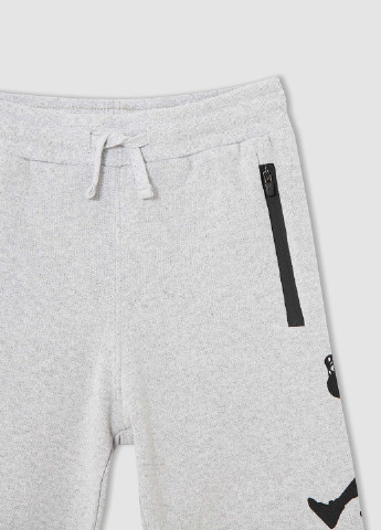 Светло-серые спортивные демисезонные брюки джоггеры DeFacto