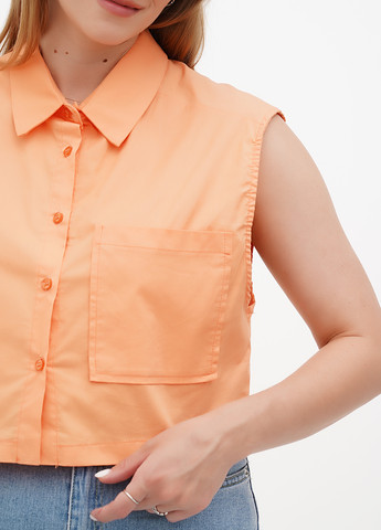 Топ Terranova (299158809)