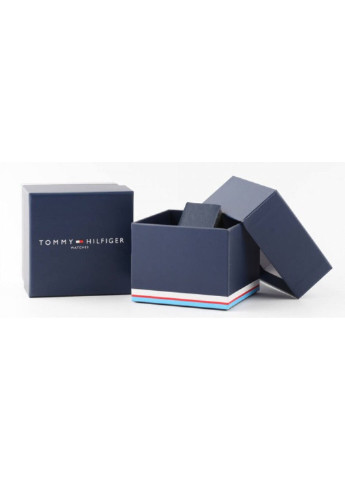 Годинник наручний Tommy Hilfiger 1791741 (221820775)