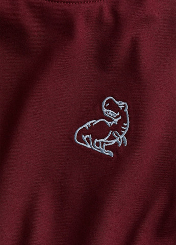 Бордовый демисезонный кэжуал лонгслив H&M динозавр