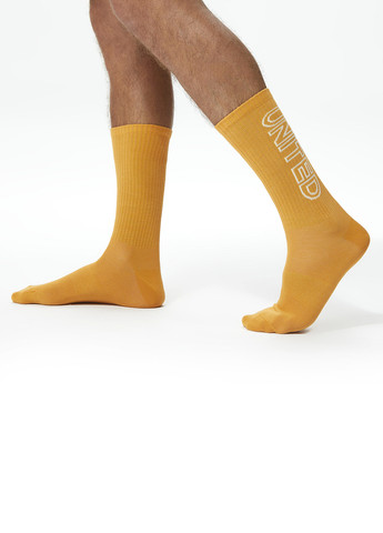 Комбинированные носки (3 пары) UNITED4 надписи (329148624)